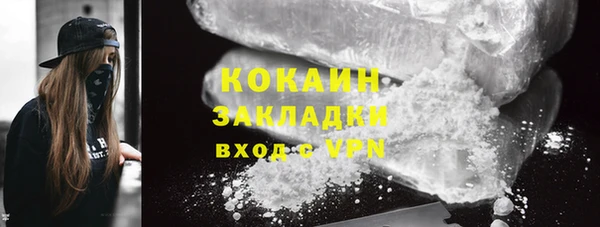 трава Белокуриха