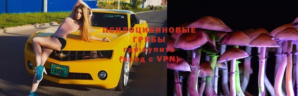 спайс Белоозёрский